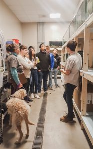 Environmental Career Exploration for Young Adults