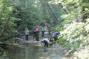 Community Cleanup at Deeds Creek