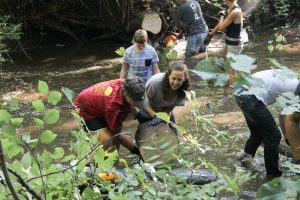Community Cleanup at Deeds Creek