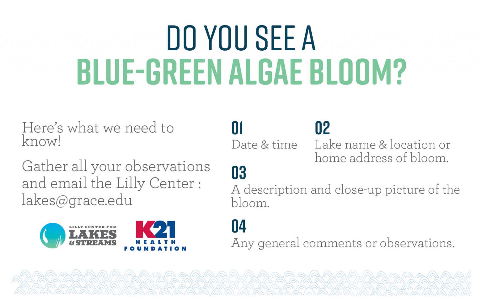 How to identify blue-green algae and what to do about it