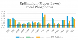 Epi Phosphorus, Beneath the Surface 2021