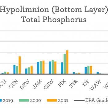 Hyo Phosphorus, Beneath the Surface 2021