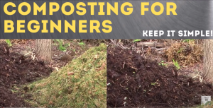 Composting for beginners