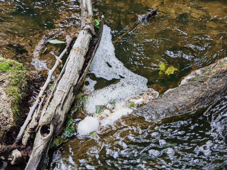 Why is there foam in my river?