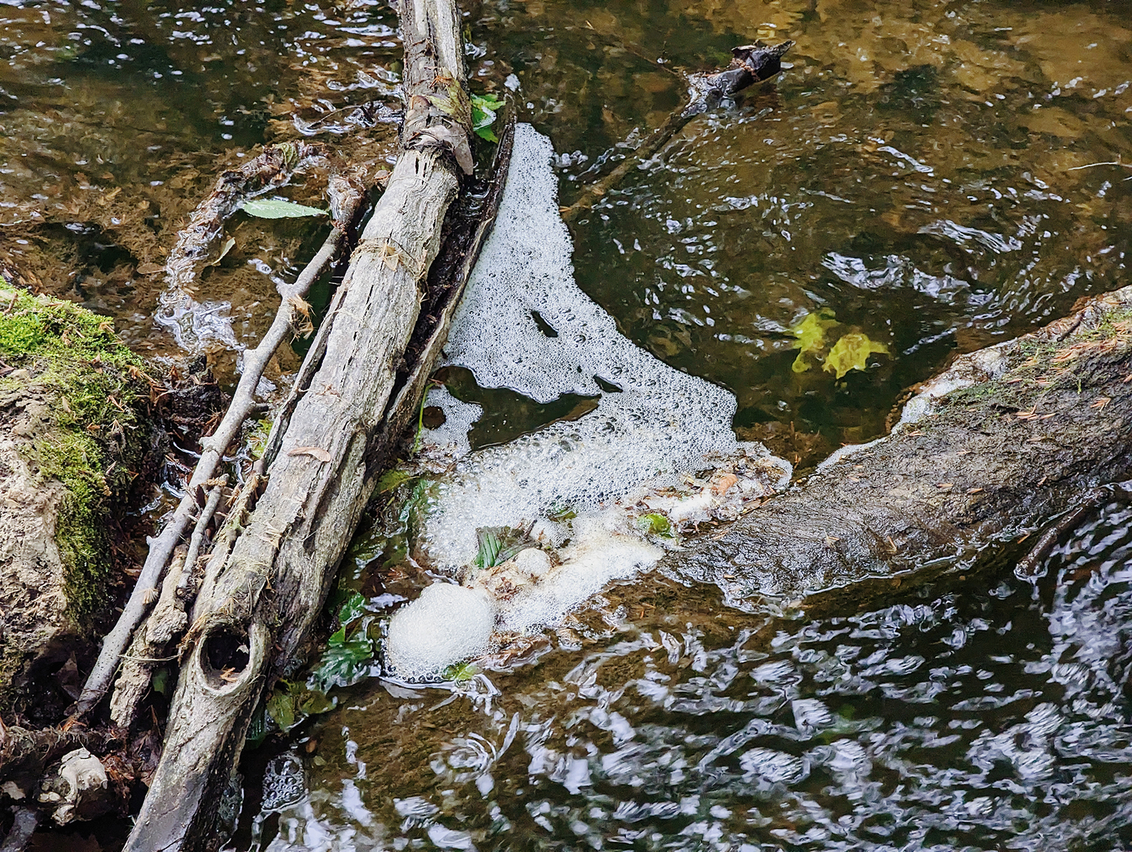 Why is there foam in in my river?