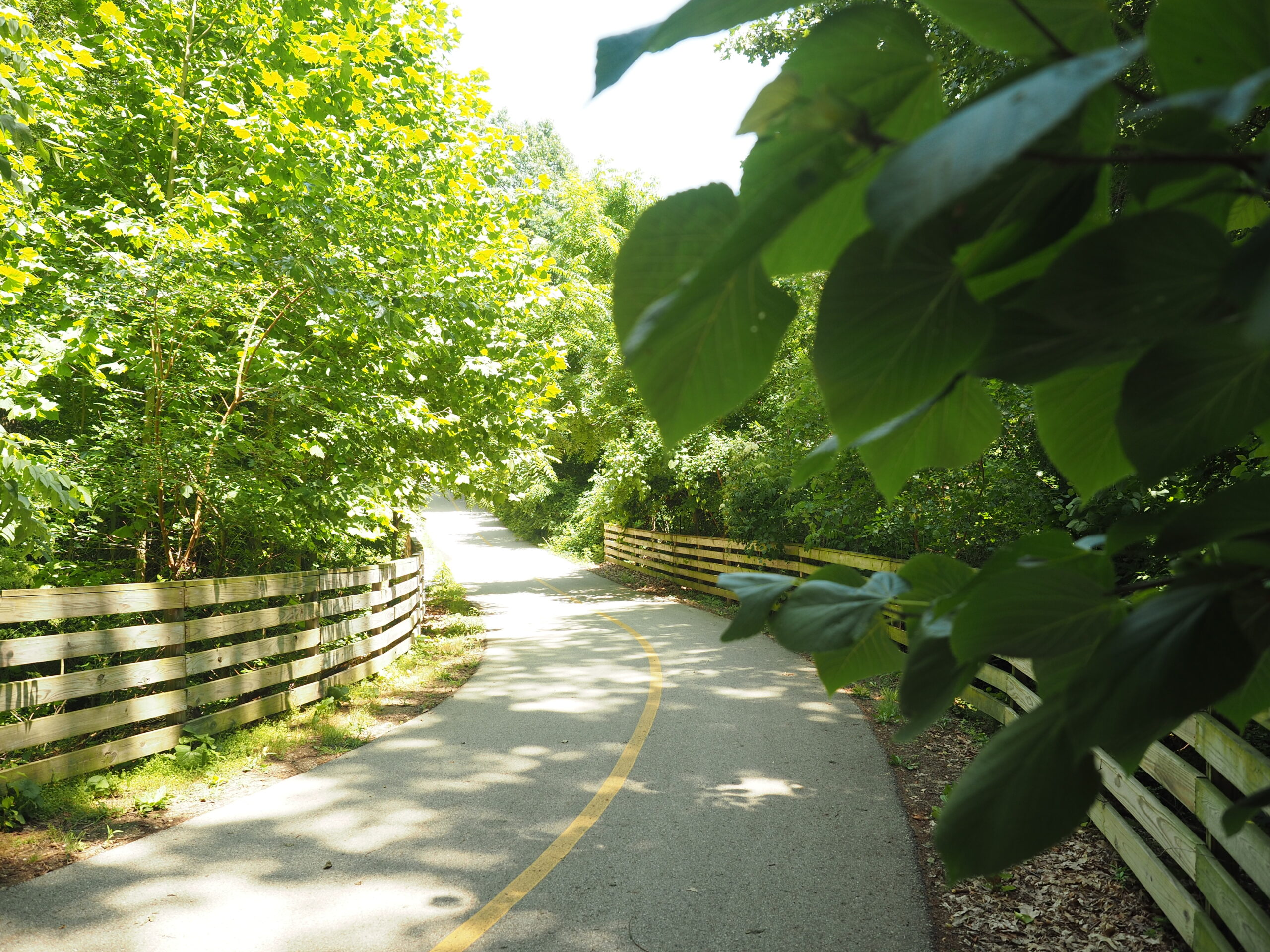 Trail Nature Hike