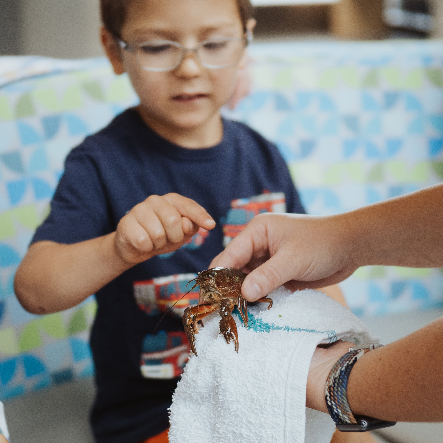 Critter Encounter: Crayfish