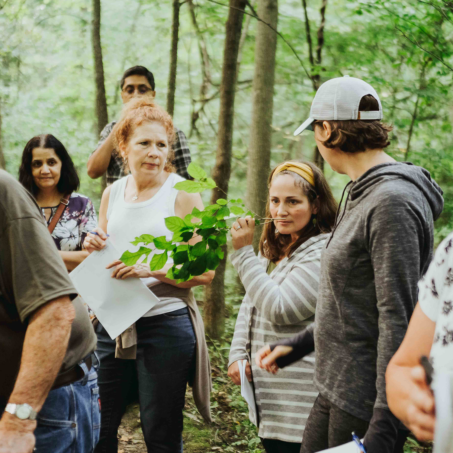 Expedition: Fall Foraging