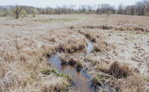 Lilly Center for Lakes & streams, Grace College, wetlands, lake rx, kosciusko county, indiana, winona, wawasee, tippecanoe, 