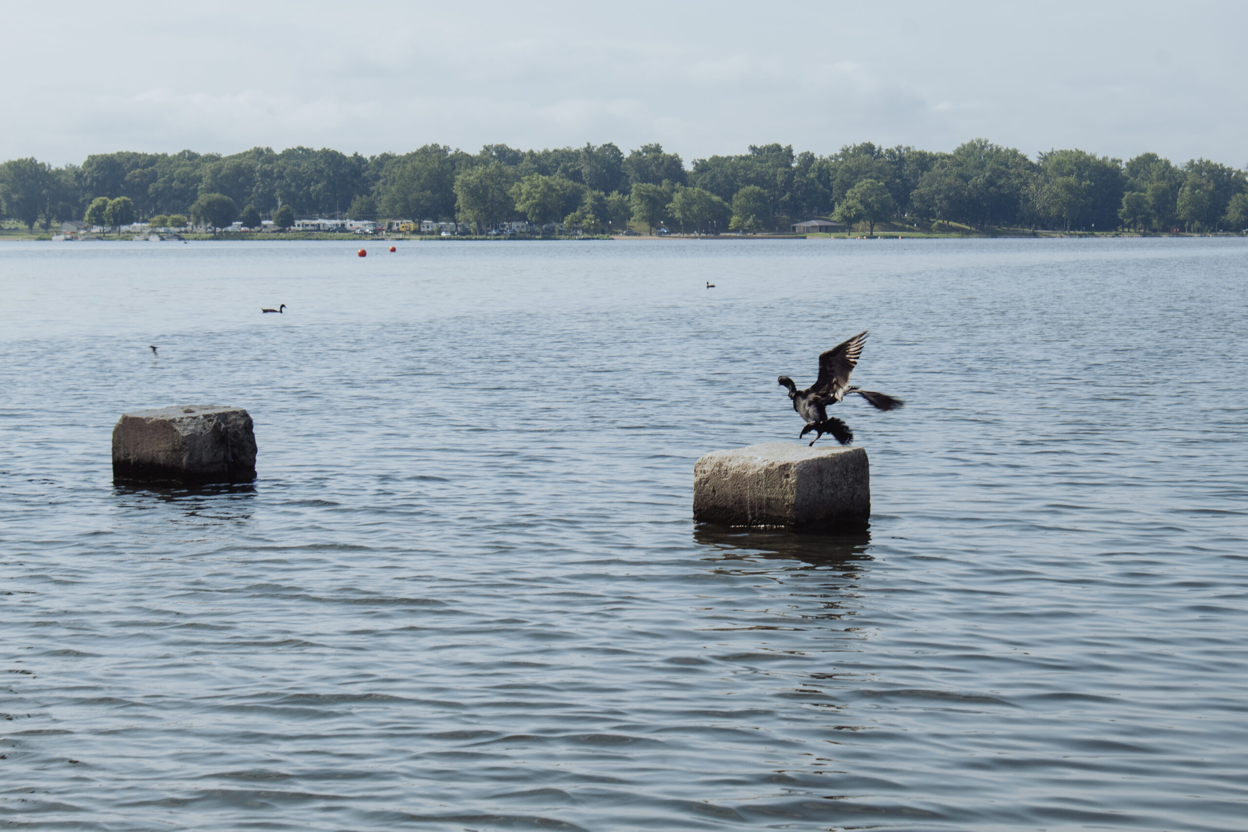 Music on the Lake